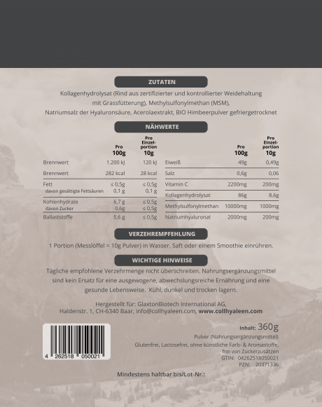Aufbau des Kniegelenks